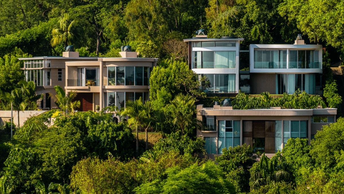 Maisons durables en harmonie avec la nature à Mexico