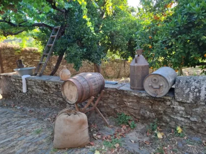 Gîte en pierre entouré d'un parc verdoyant avec terrasse et jardin accueillant