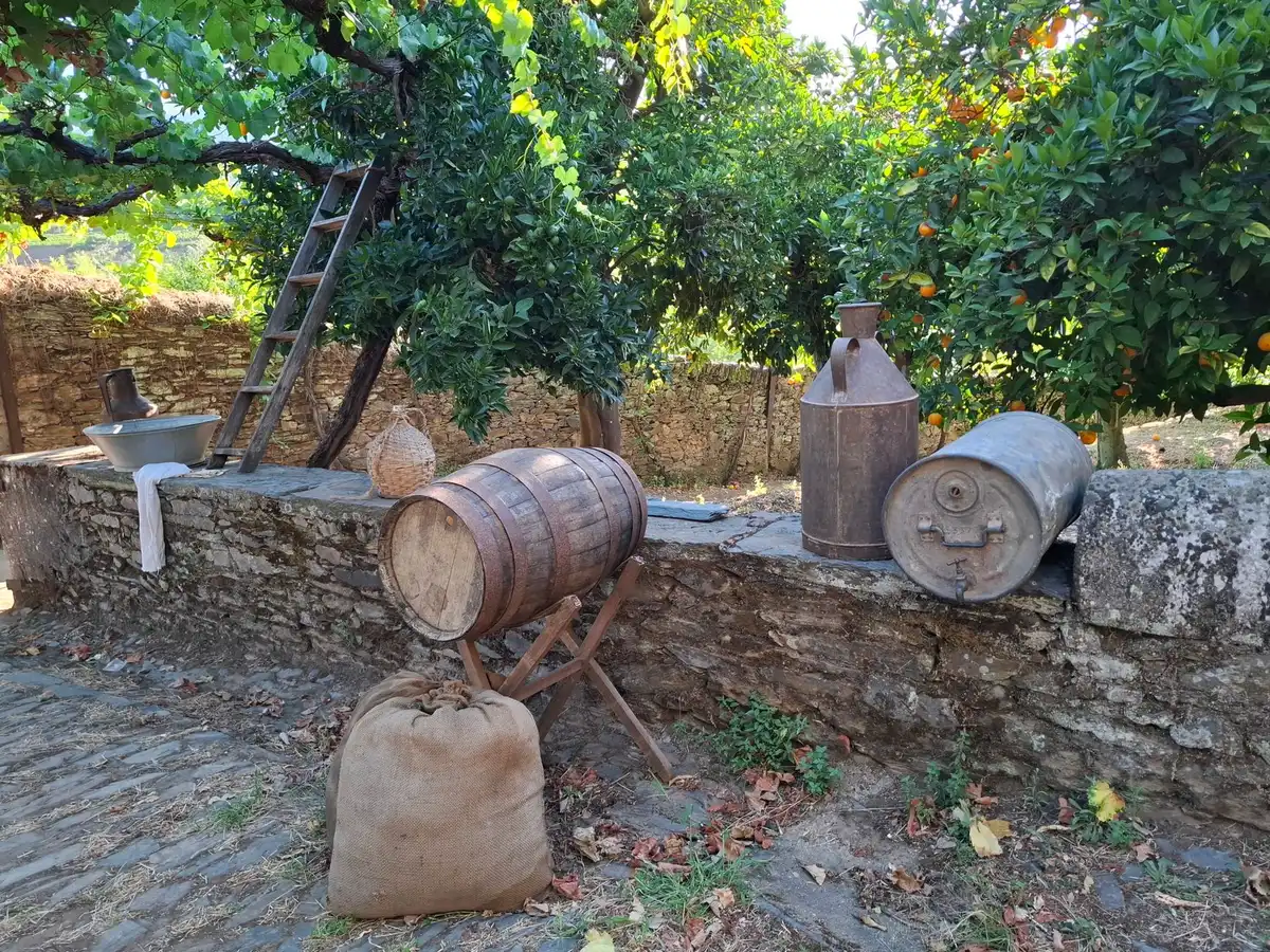 Gîte en pierre entouré d'un parc verdoyant avec terrasse et jardin accueillant