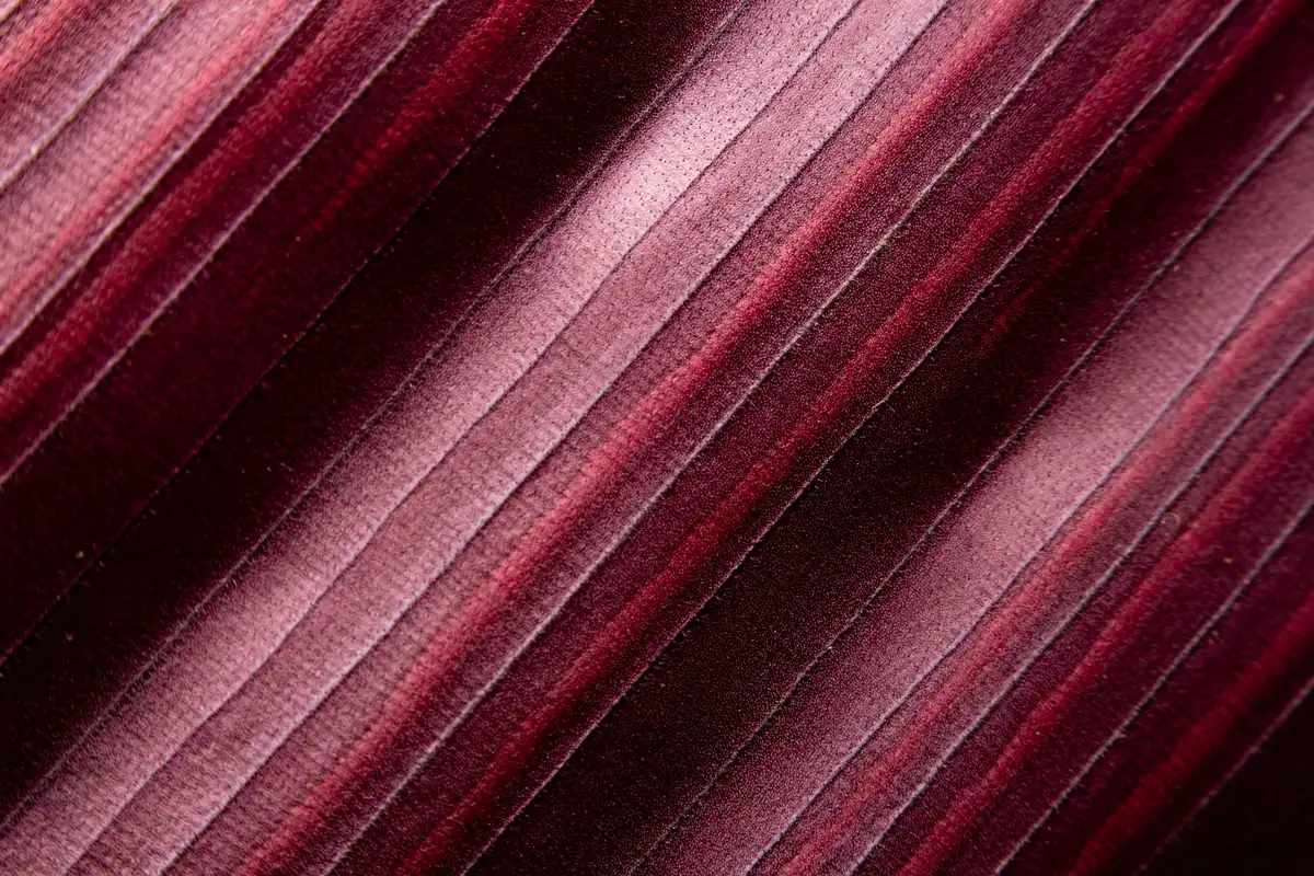 D&eacute;tail de velours mat bordeaux avec texture riche et profonde.