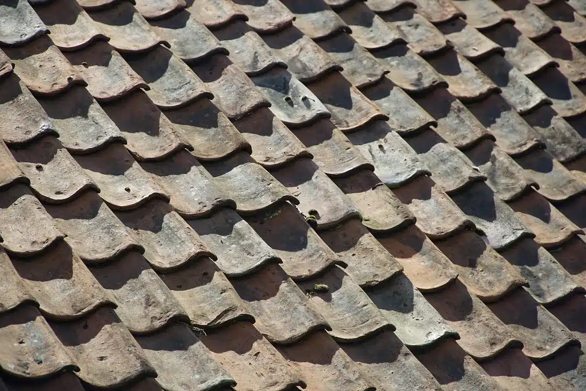 Matériaux locaux: pilotis en bois et toiture en frondes de palmier