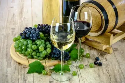 Table dressée pour un dîner gastronomique avec verres à vin, plats raffinés et ambiance intime.