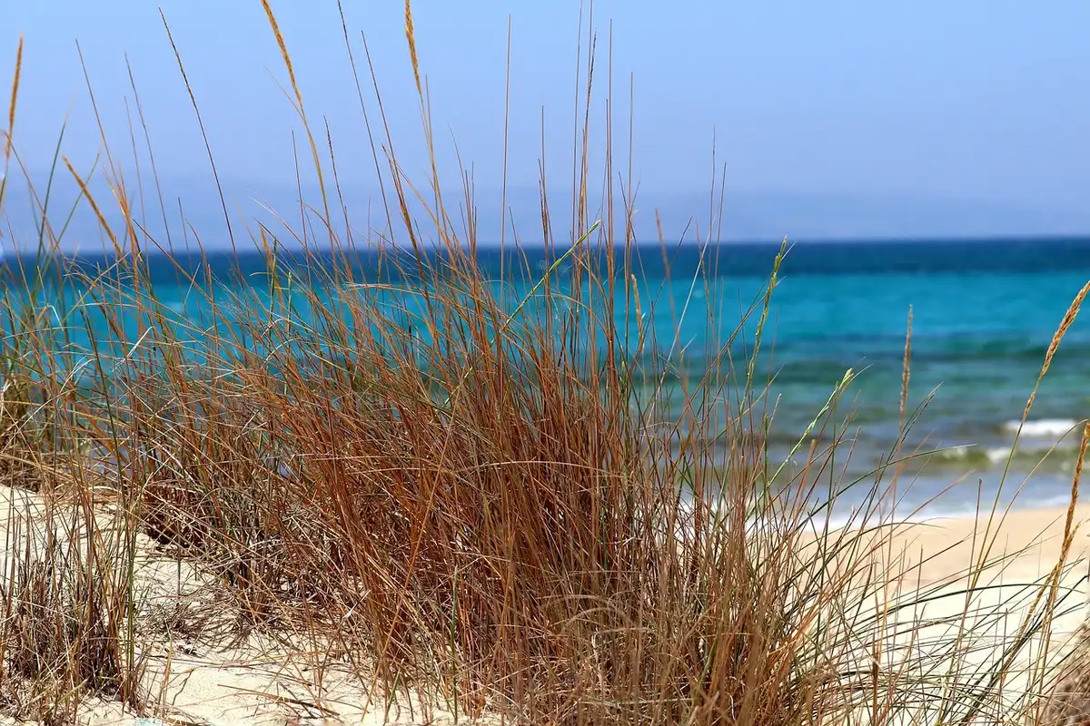 Plage et Dune du Pilat sous un ciel clair